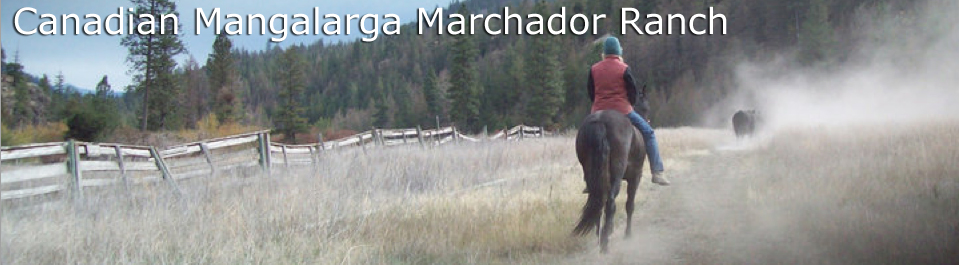 Canadian Mangalarga Marchador Ranch
